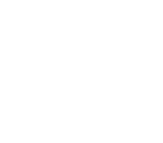 LevelTech logo